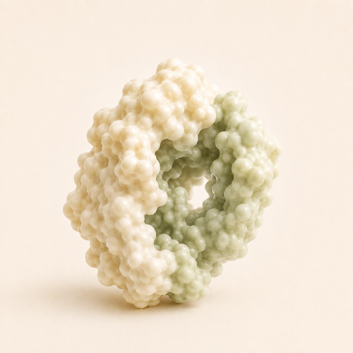 Fructan hydrolase