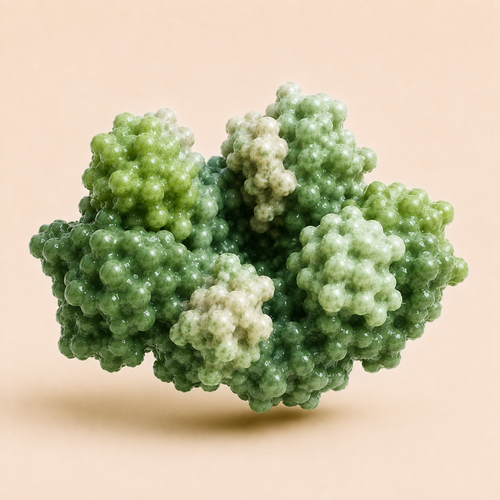Lactase enzyme