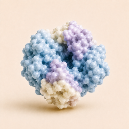 Alpha-galactosidase enzyme